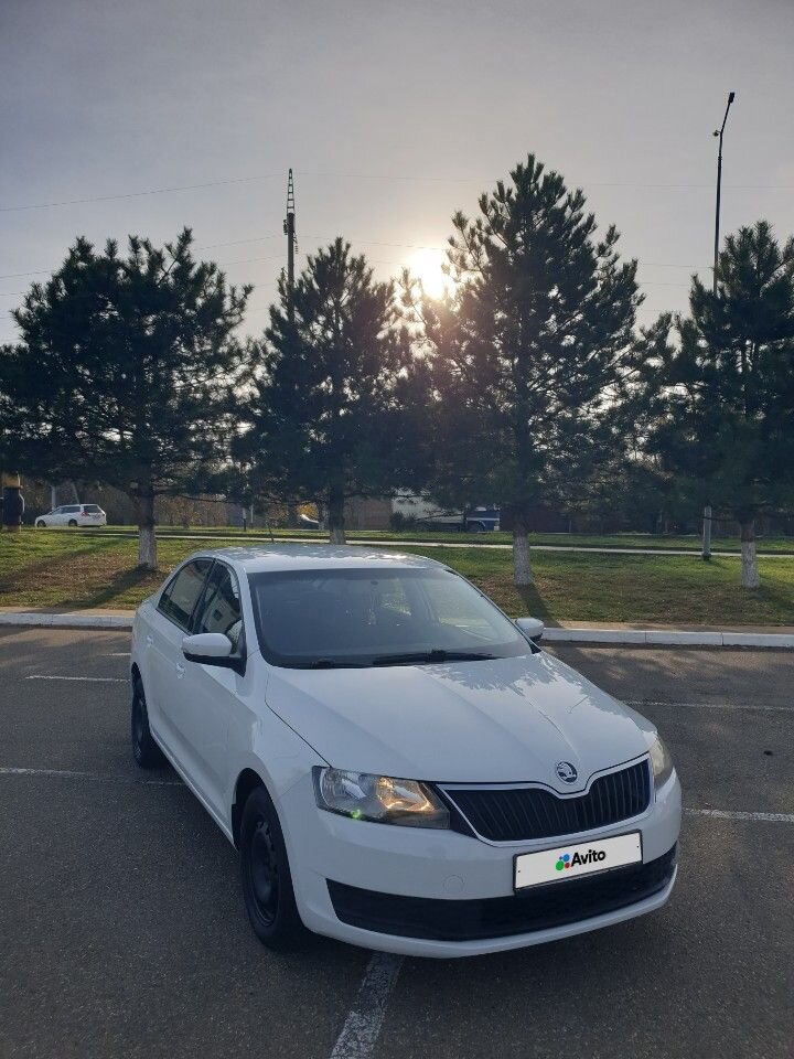 Skoda Rapid: фото владельца