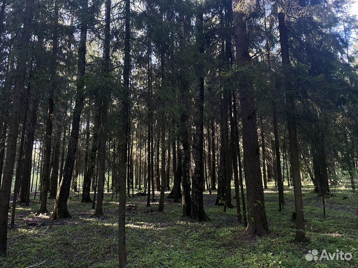 Однодневный Ретрит 