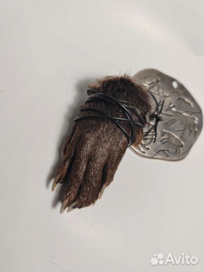 Лапка выдры