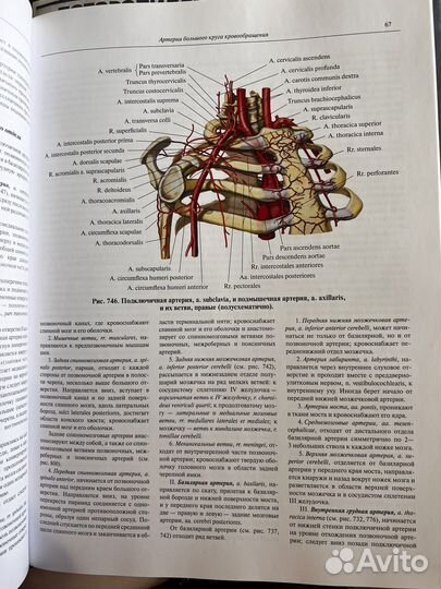 Атлас по анатомии синельников 3 том