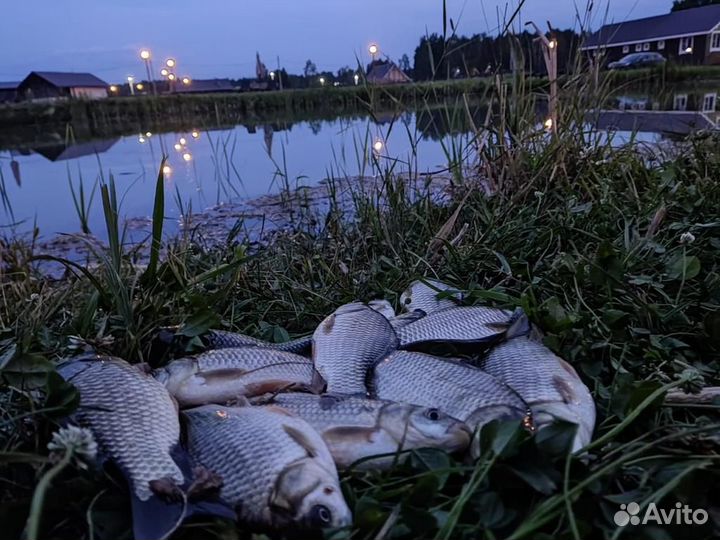 Рыбалка и отдых в Ярославле