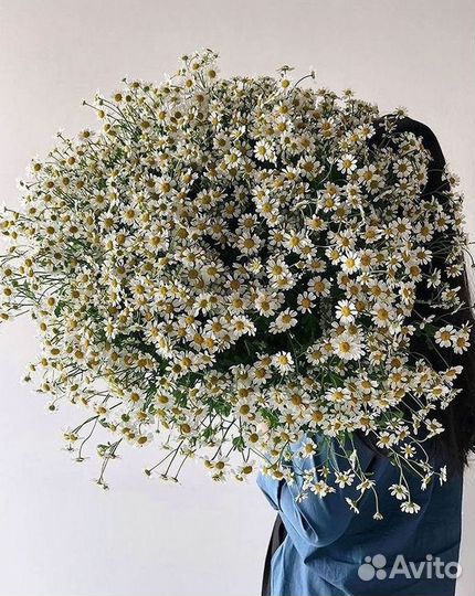 Букеты. Доставка ромашек