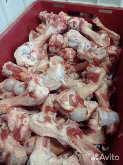 Кости для собак