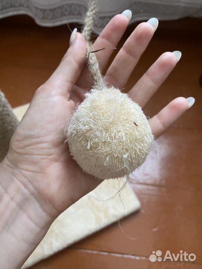 Когтеточка