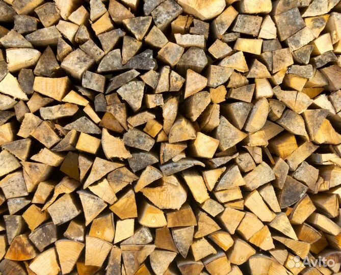 Дрова осина