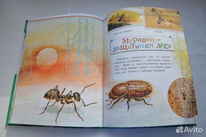 Почемучкина энциклопедия, детские книги