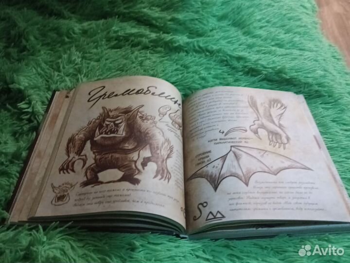 Секретная книга чудес