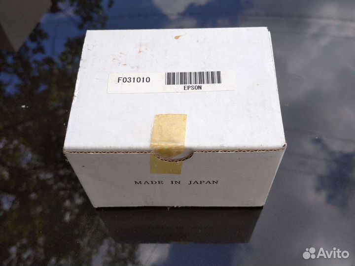 Печатающая головка F031010
