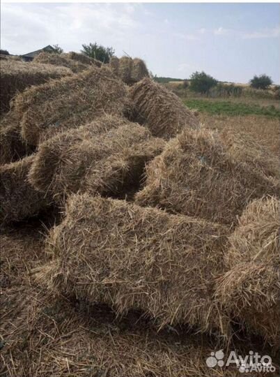 Сено луговое в тюках