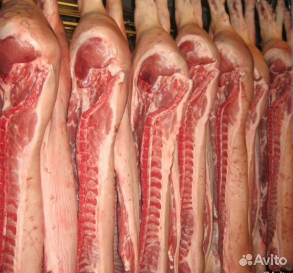 Мясо свинина