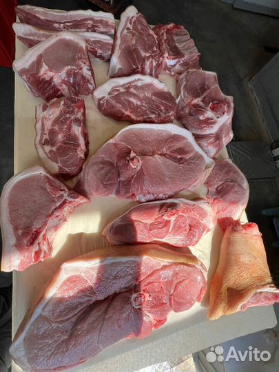 Мясо свинина
