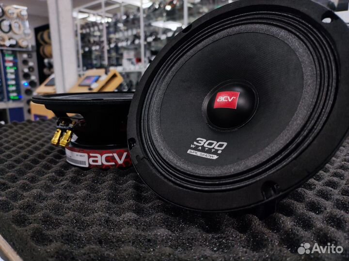 Комплект эстрадной акустики ACV