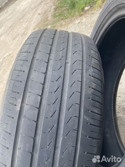 Pirelli Scorpion Verde 225/55 R19 99V