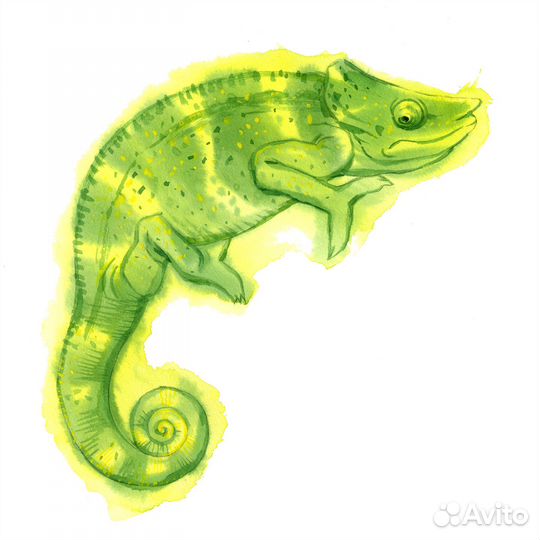 Акварель анималистика хамелеоны