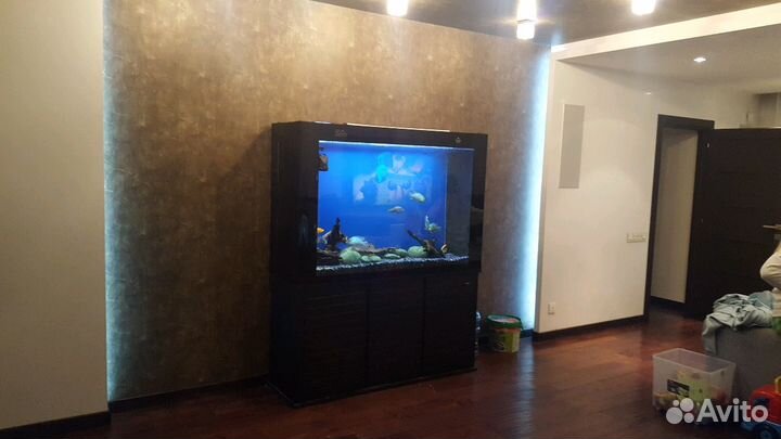 Аквариум