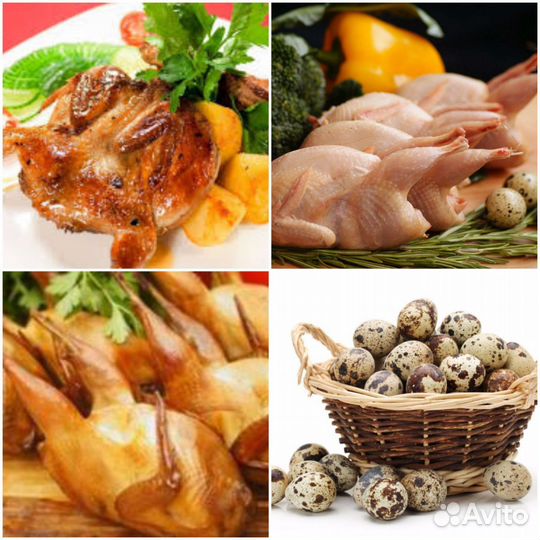 Мясо перепелов