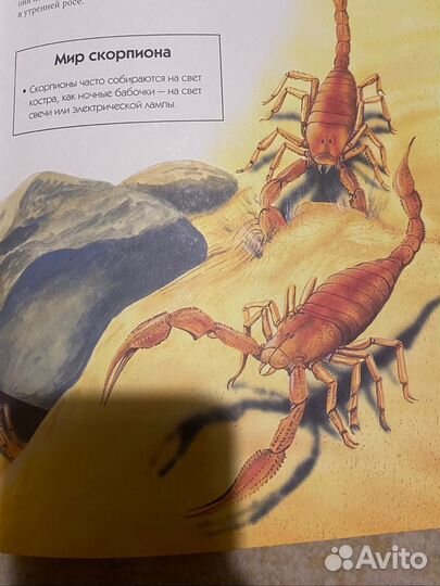 Детская энциклопедия, животные и насекомые эксмо