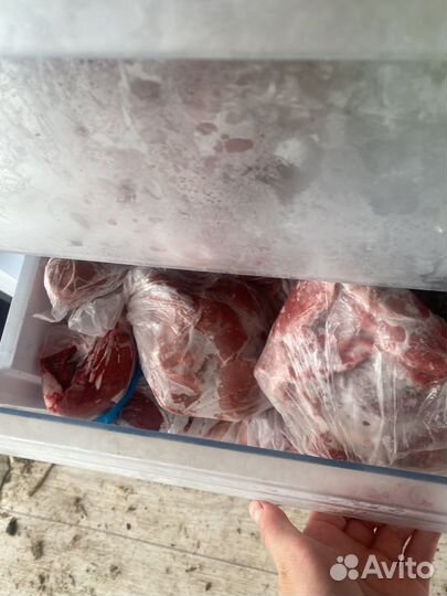 Мясо козлятина