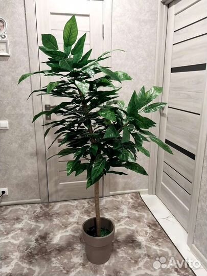 Искусственные декоративные деревья