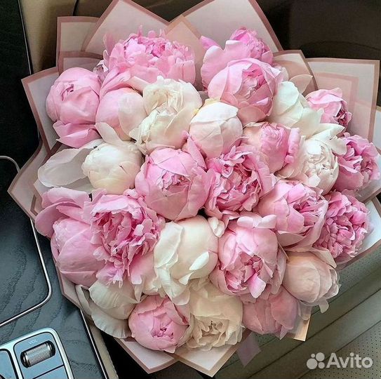 Пионы Цветы Доставка