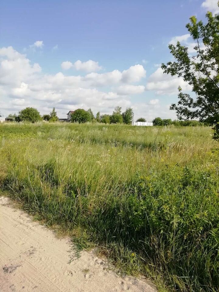 Лесновка. Деревня якунино. Маршал участки. Маршал участки. Клюква курская область поселок достопримечательности.