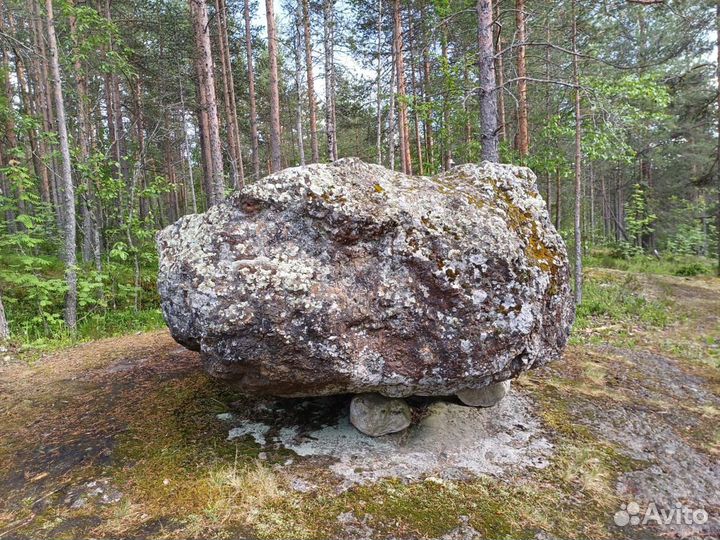 Приму грунт на подсыпку в п Яблоневка