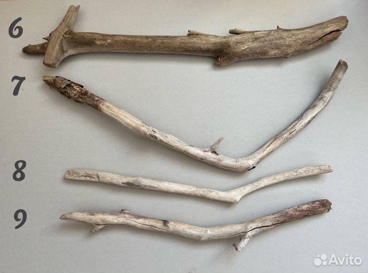 Палки, коряги, дрифтвуд