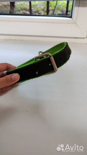 Ошейник для собак