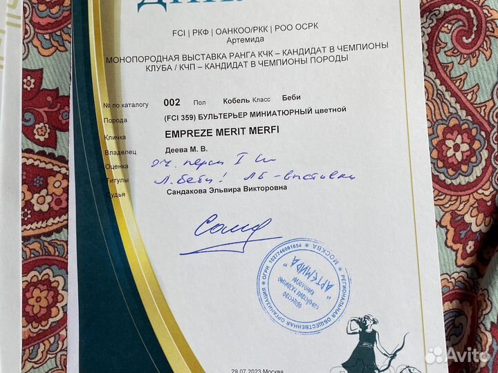 Миниатюрный бультерьер