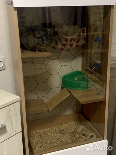 Витрина для шиншилл.Клетка для шиншиллы