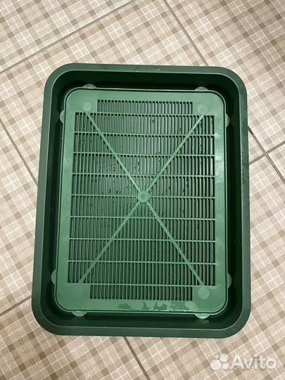 Лоток для котят 35*26*4