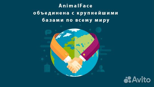 Вакцинация и чипирование Колтушское сп