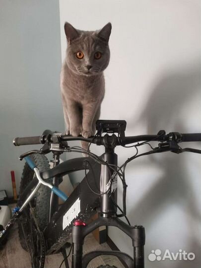 Мощный электровелосипед