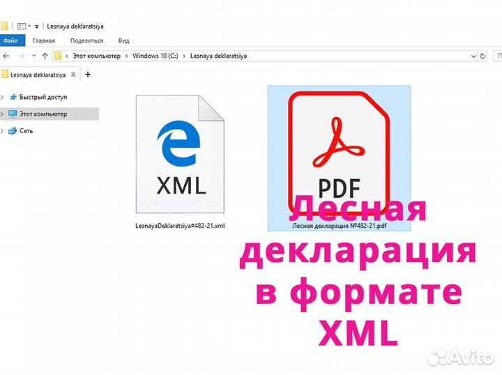 Лесная декларация в формате XML по приказу № 303
