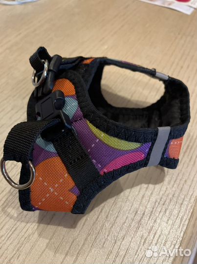 Свитерок и шлейка мягкая для маленькой собачки