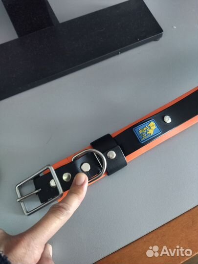 Ошейник и поводок для собак