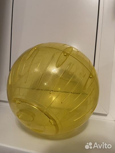 Прогулочный шар для грызунов