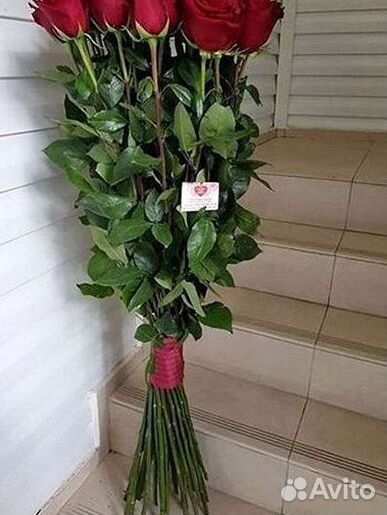 Розы Цветы Букеты 25 51 151 201 101 301 501 опт