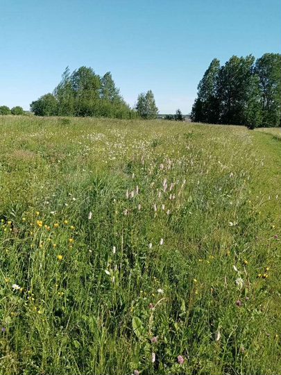 Участок 72 сот. (ИЖС)