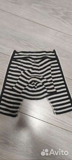 Одежда для маленьких пород собак