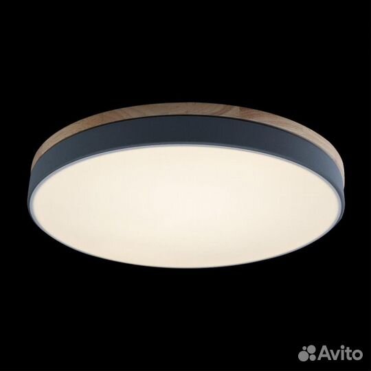 10001/36 Grey Потолочный светильник loft IT Axel