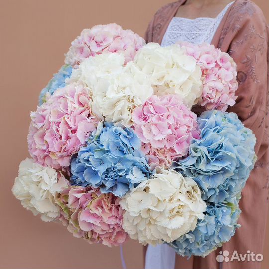 Шикарный Пышный Букет из Гортензии Гидрангии
