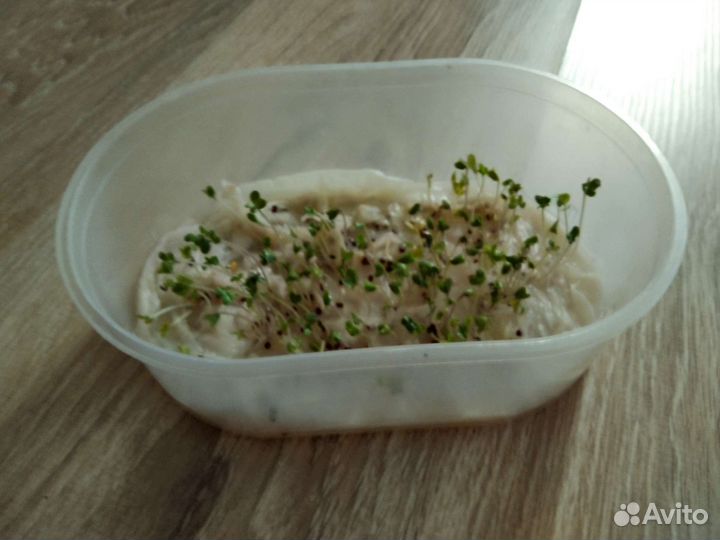 Микрозелень