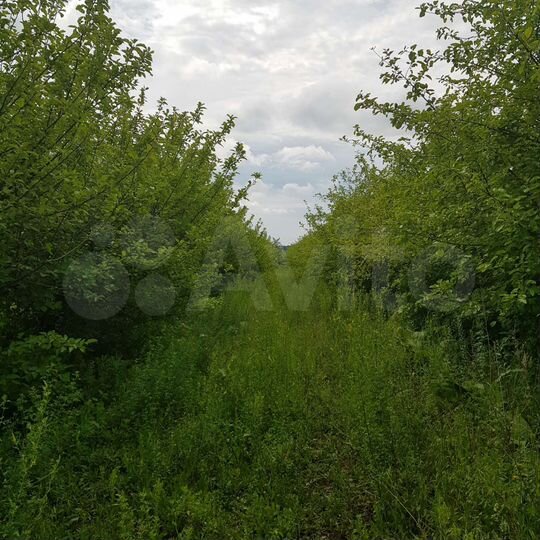 Участок 2,2 га (СНТ, ДНП)