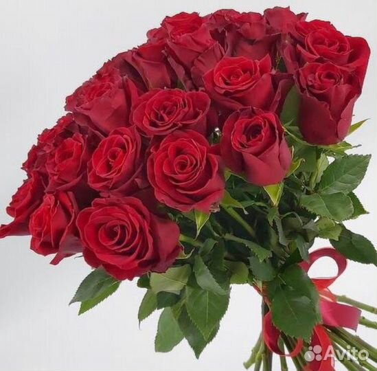 Розы 25 штук 60 см
