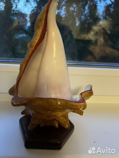 Пепельница из океанической раковины