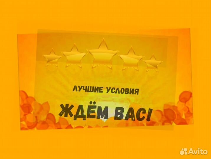 Грузчики Выплаты в срок /Без опыта