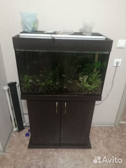 Аквариум с тумбой 120 литров
