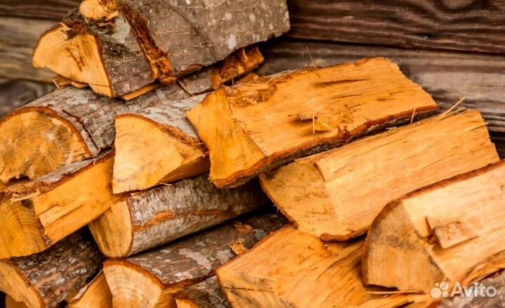 Дрова без жучков