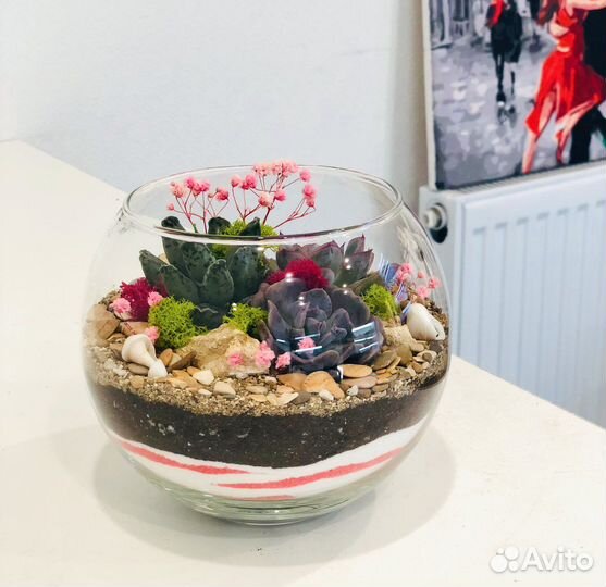 Флорариум с суккулентами